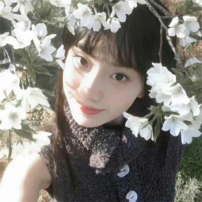 碧娜鲍许